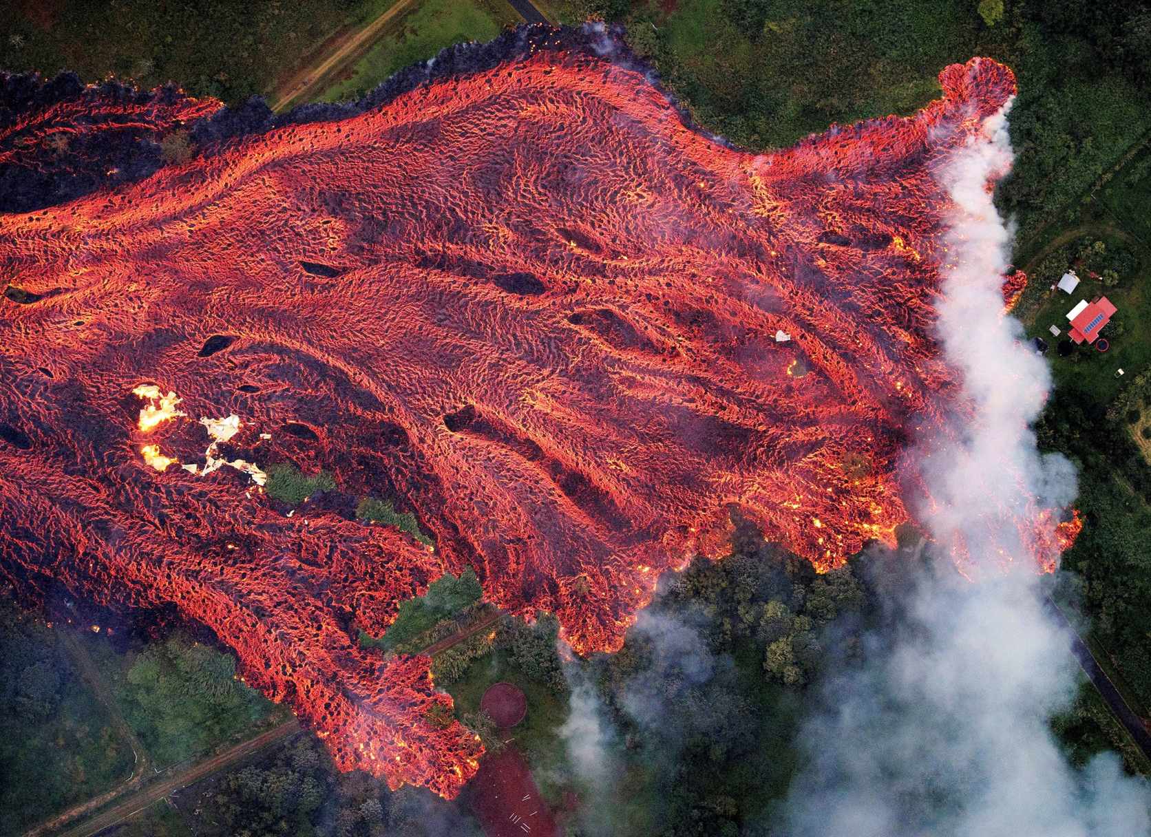 © Bruce Omori